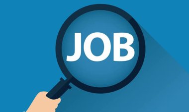 Job Breaking : रायपुर में प्लेसमेंट कैम्प "100 से अधिक पदों पर होगी भर्ती" युवाओं के लिए सुनहरा अवसर