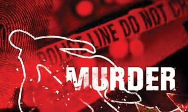 CG CRIME : अवैध संबंध के शक में घर में घुसकर हमला, बुजुर्ग महिला की हत्या; 6 घायल