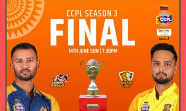 CCPL-3 Final: 4 विकेट जल्दी गिरने के बाद संभली रायगढ़ लायंस,बिलासपुर बुल्स को 161 रन का लक्ष्य