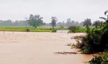 बारिश का कहर : बस्तर और ओडिशा का संपर्क टूटा, पुलिया पर 4 फीट पानी, सड़कों पर लंबा जाम