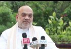 गुजरात निकाय चुनाव में भाजपा को 104 में से 90 सीटें, अमित शाह ने राहुल गांधी पर साधा निशाना